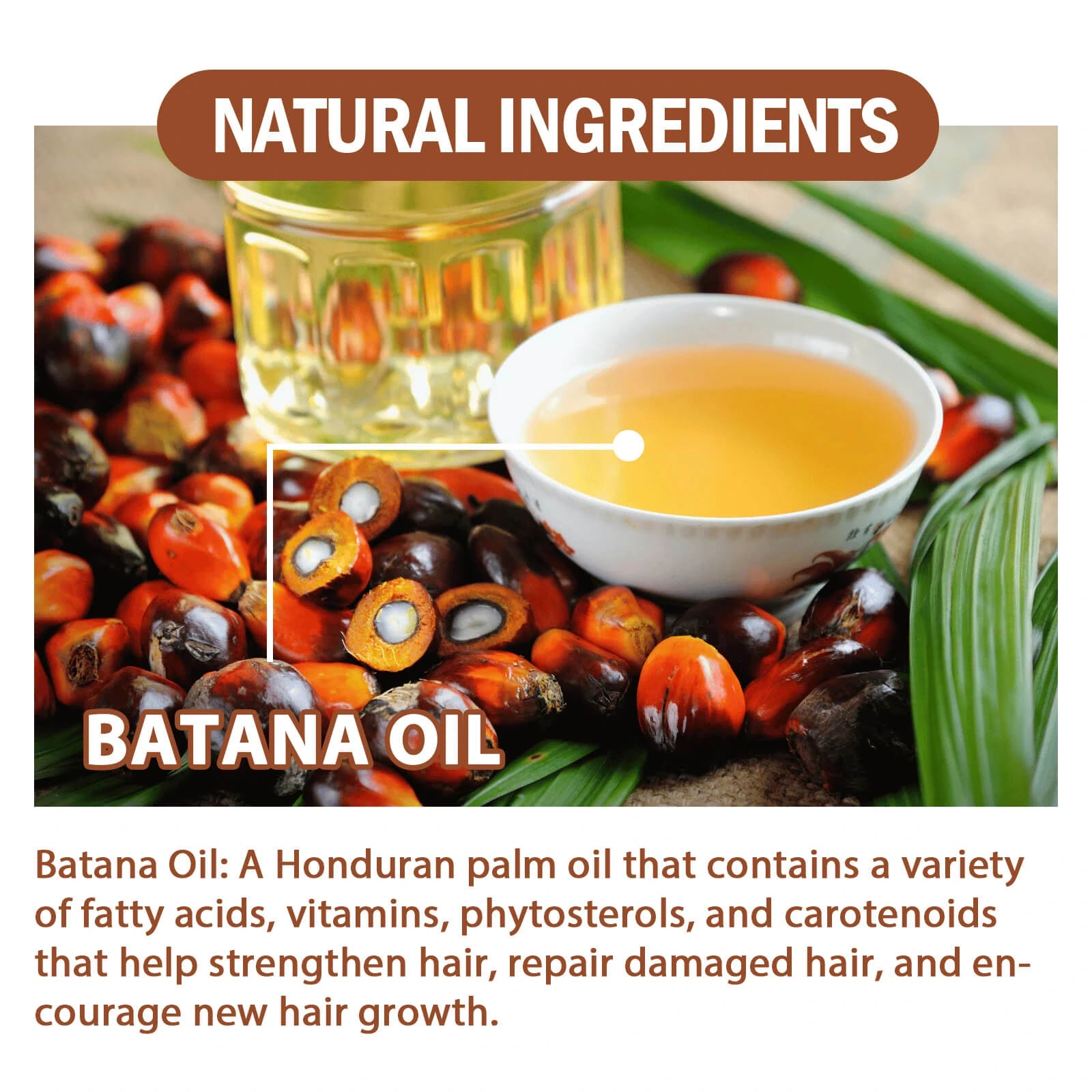 MiskitaGlow Batana Oil